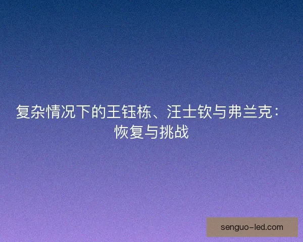 复杂情况下的王钰栋、汪士钦与弗兰克：恢复与挑战