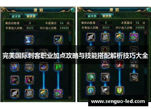 完美国际刺客职业加点攻略与技能搭配解析技巧大全
