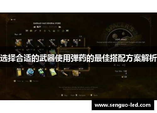 选择合适的武器使用弹药的最佳搭配方案解析