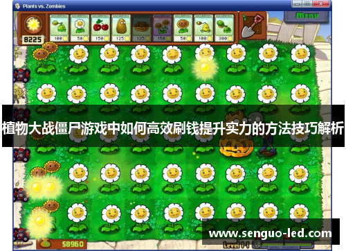植物大战僵尸游戏中如何高效刷钱提升实力的方法技巧解析