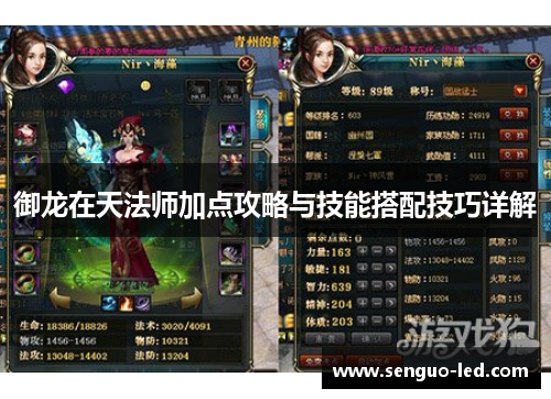御龙在天法师加点攻略与技能搭配技巧详解